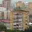Истринцы разыскивают профессиональную команду чиновников - Истра.РФ