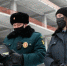 Стройплощадки в Истре проверят на наличие бездомных собак - Истринские ВСети