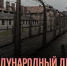 Международный день памяти жертв холокоста - Истринские ВСети