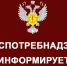 534 предписания по подготовке школ к учебному году было выдано Роспотребнадзором региона - Истра.РФ