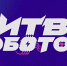Команда из Подмосковья участвует во втором туре чемпионата «Битва роботов» - Истра.РФ