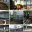 ​В Подмосковье объявлен "Месяц чистоты и порядка" - Газета Истра сегодня