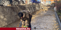 Новые бордюры устанавливают рабочие напротив детской поликлиники в Истре - Regions.Ru