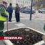 Около 8 тыс. тюльпанов распустится весной на площади Революции в Истре - Regions.Ru