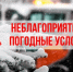 В Подмосковье «желтый» уровень погодной опасности из-за резкого похолодания и сильного ветра! - Газета Истра сегодня