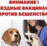 В м.о. Истра стартовала выездная вакцинаций против бешенства животных - Газета Истра сегодня