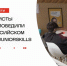 Завершился «Alabuga Skills Junior» – чемпионат профессионального мастерства по программированию - Газета Истра сегодня