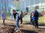 Коллективы многих учреждений и предприятий м.о. Истра активно участвуют в субботниках