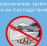 Неформальная занятость и её последствия - Газета Истра сегодня