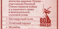 Афиша. Лужки. 9 мая 2025 года.jpg - Истра.РФ