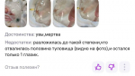 На Wildberries запретили продажу аквариумных животных