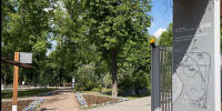 Истринцев будут лечить в парке - Истра.РФ