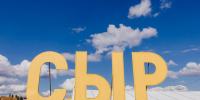 Фестиваль сыра в Истре собрал 70 тыс. гостей и выбрал лучший сыр России - Regions.Ru