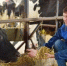 ​Фермеры смогут пройти онлайн-обучение по продаже продукции через интернет - Газета Истра сегодня