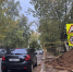 В Дедовске детям перекрыли путь к знаниям - Истра.РФ