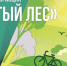 17 октября в м.о. Истра пройдет экологическая акция «Чистый лес» - Газета Истра сегодня