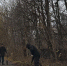 Снегирёвская школа готовится не ударить в грязь лицом - Истра.РФ