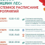 Золотая осень в Истре: парки ждут гостей! - Газета Истра сегодня