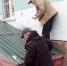 Более 500 подвалов проверили в Истринском округе: какие дефекты устранили - Regions.Ru
