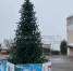 ab6b18ae-d13f-4fe2-8620-067804e7c756.jpg - Истра.РФ