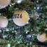 Отметить Старый Новый год по-взрослому позвали жителей Истры - Regions.Ru