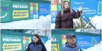 Жители м.о. Истра участвуют в акции «Сдай елку на переработку» - Газета Истра сегодня