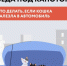 Беда под капотом! Что делать, если кошка залезла в автомобиль - Газета Истра сегодня