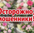 ​Осторожно мошенники! Как не омрачить себе праздник - Газета Истра сегодня