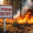 С 20 марта в Московской области официально начался пожароопасный сезон - Газета Истра сегодня
