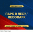 «Соколиная гора» - в ТОПе лесопарков России! - Газета Истра сегодня