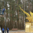 Истринская «Соколиная гора» взяла номинацию «Парк года» - Истра.РФ