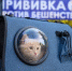Приглашаем истринцев на бесплатную вакцинацию домашних питомцев - Газета Истра сегодня