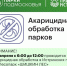 ​В парках муниципального округа Истра проведут акарицидную обработку - Газета Истра сегодня